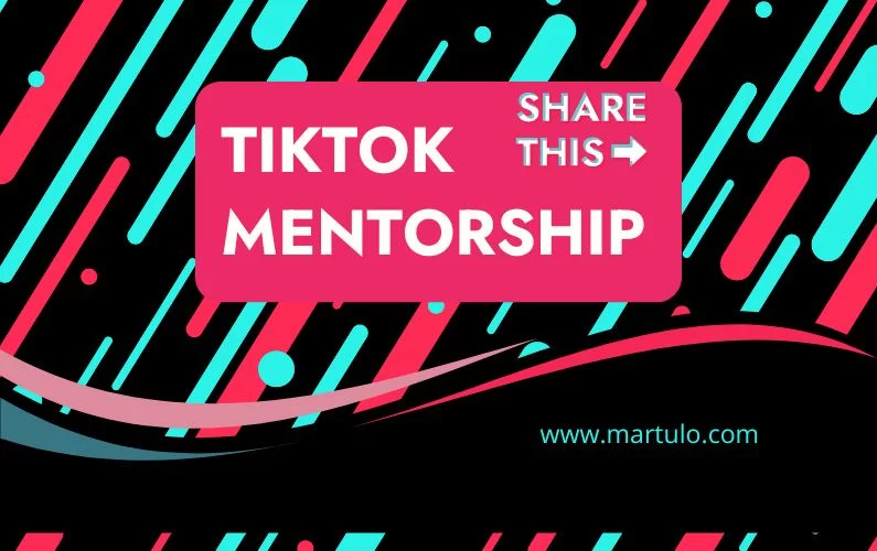 tiktok mentorship program